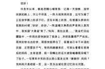 摘抄描写粽子的作文六年级上册五百字,传承家的味道