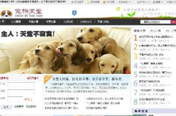 宠物网站