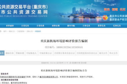 重庆建设项目及招标网,聚焦区域发展，助力项目招标新篇章