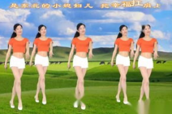 大葱舞,传统民俗与现代韵律的完美融合