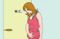 女性尿频的原因,多因素解析与应对策略