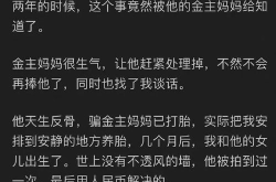 娱乐圈都在吃瓜视频吗知乎,揭秘明星幕后故事与粉丝狂欢现象