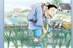 呆若木鸡的故事,智慧与愚钝的辩证故事