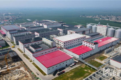 河北省项目网,重点项目进展与成果综述