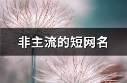 非主流的网名,揭秘独特网名的背后故事